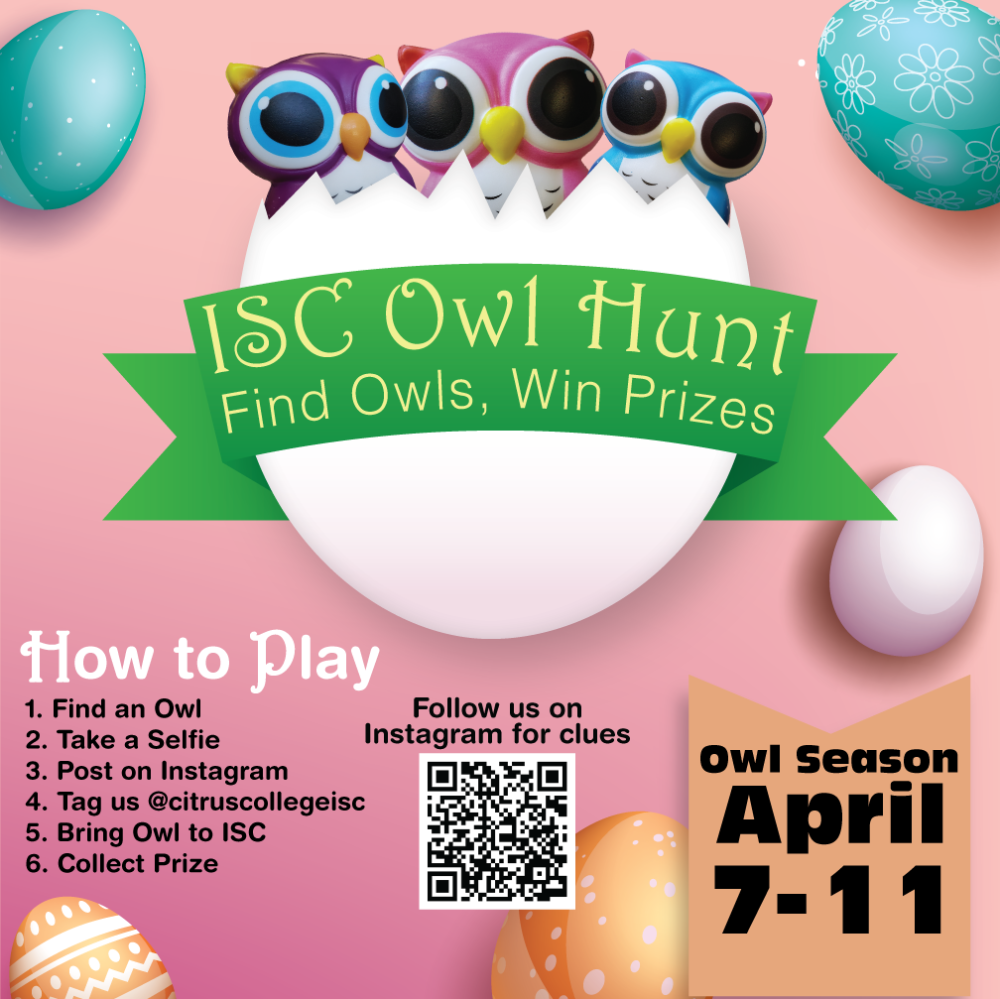 Owl Hunt 2025